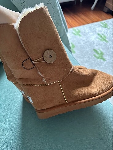 37 Beden Ugg bot