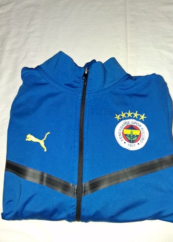10 Yaş Beden mavi Renk Erkek Çocuk Mavi Fermuarlı Sweatshirt