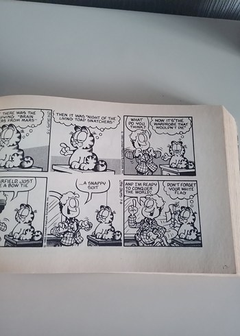 Garfield Çizgiroman