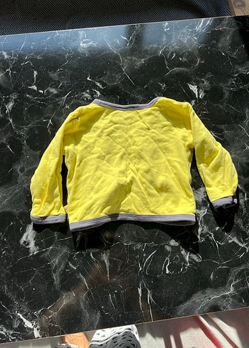 Sarı Düğmeli Sokak Stili Kedi Kıyafeti - Görsel 3