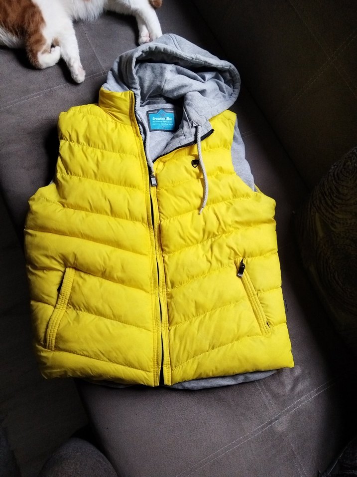 Sarı Kapitone Fermuarlı Erkek Çocuk Yelek - Görsel 5