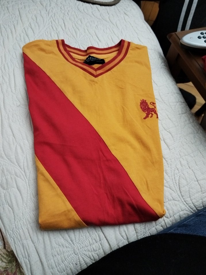 Sarı Kırmızı V Yaka Erkek Polo Tişört - Görsel 2