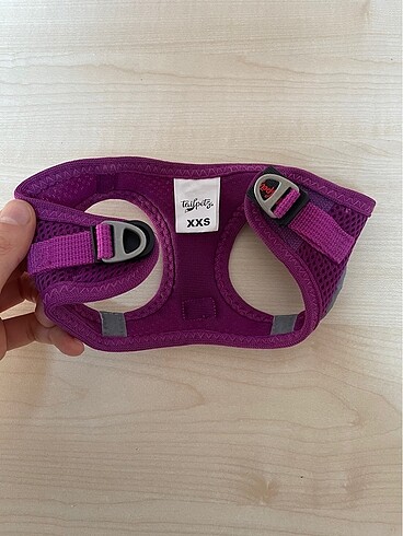 Köpek aksesuarı