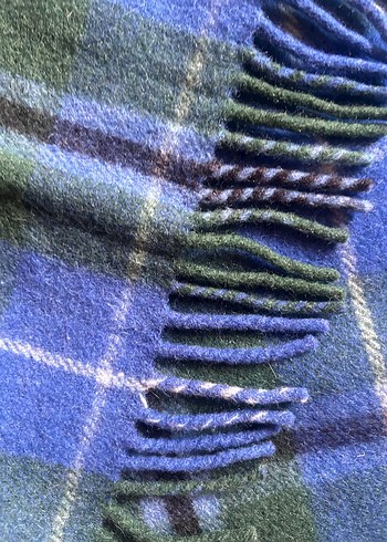 Hıghland iskoçya Battaniye - Görsel 3