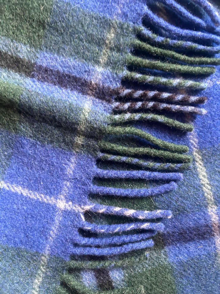 Hıghland iskoçya Battaniye - Görsel 3