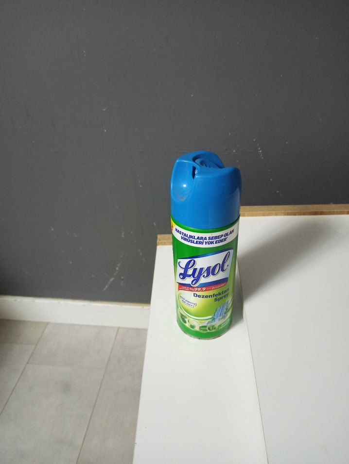 Lysol Dezenfektan Sprey 99.9% Virüs Öldürücü - Görsel 2