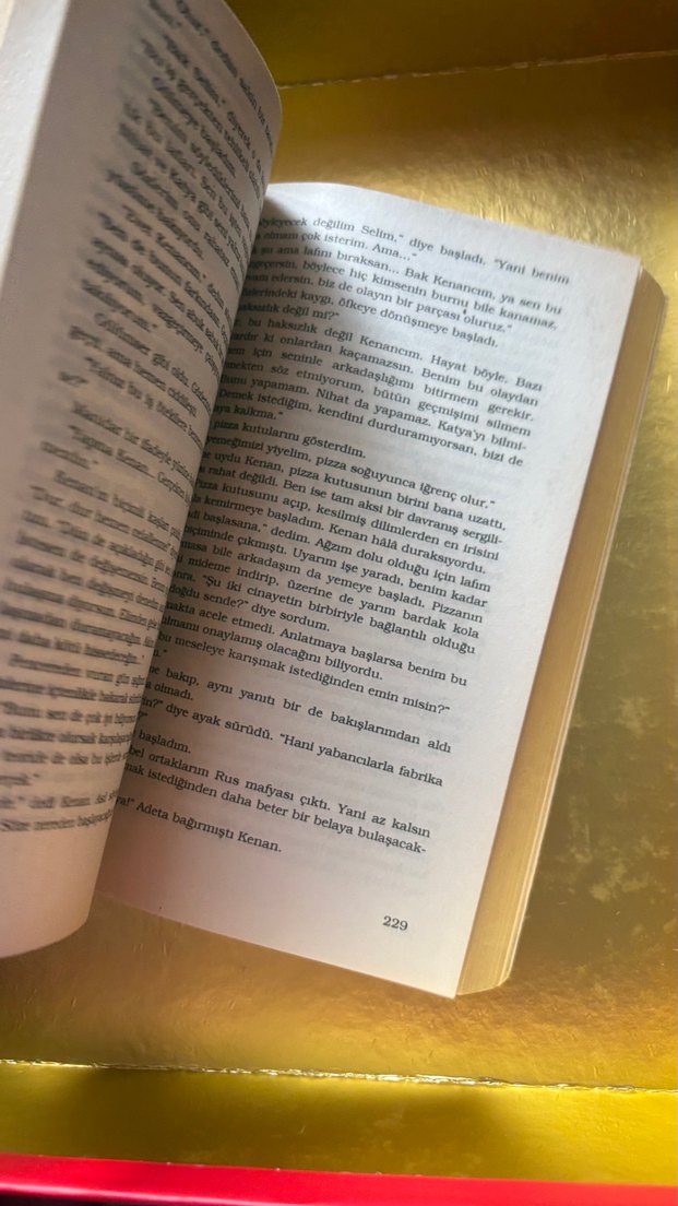 Beyoğlunun Karanlık Rapsodisi — görsel 4/4