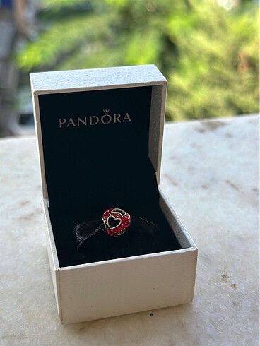 pandora charm