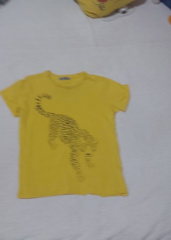 7 Yaş Beden sarı Renk Sarı Baskılı Erkek Çocuk Tişörtü