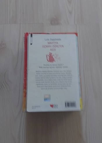 Martıya Uçmayı Öğreten Kedi - Luis Sepúlveda - Görsel 4