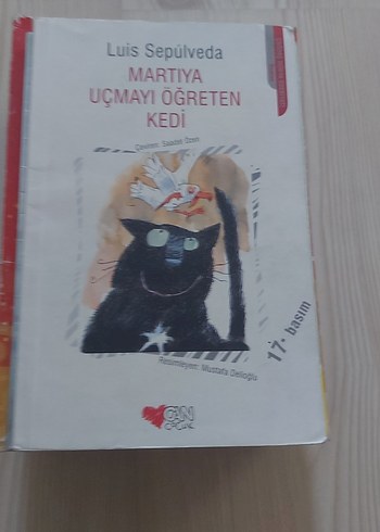 Martıya Uçmayı Öğreten Kedi - Luis Sepúlveda - Görsel 2