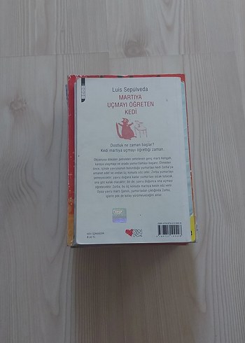 Martıya Uçmayı Öğreten Kedi - Luis Sepúlveda - Görsel 6