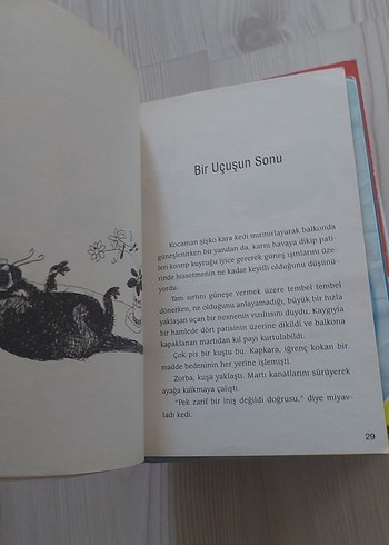 Martıya Uçmayı Öğreten Kedi - Luis Sepúlveda - Görsel 7