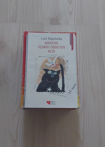 Martıya Uçmayı Öğreten Kedi - Luis Sepúlveda - Görsel 3