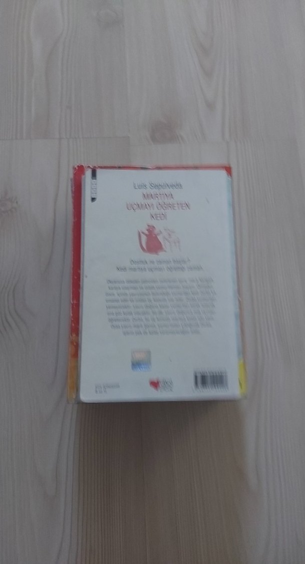 Martıya Uçmayı Öğreten Kedi - Luis Sepúlveda - Görsel 4