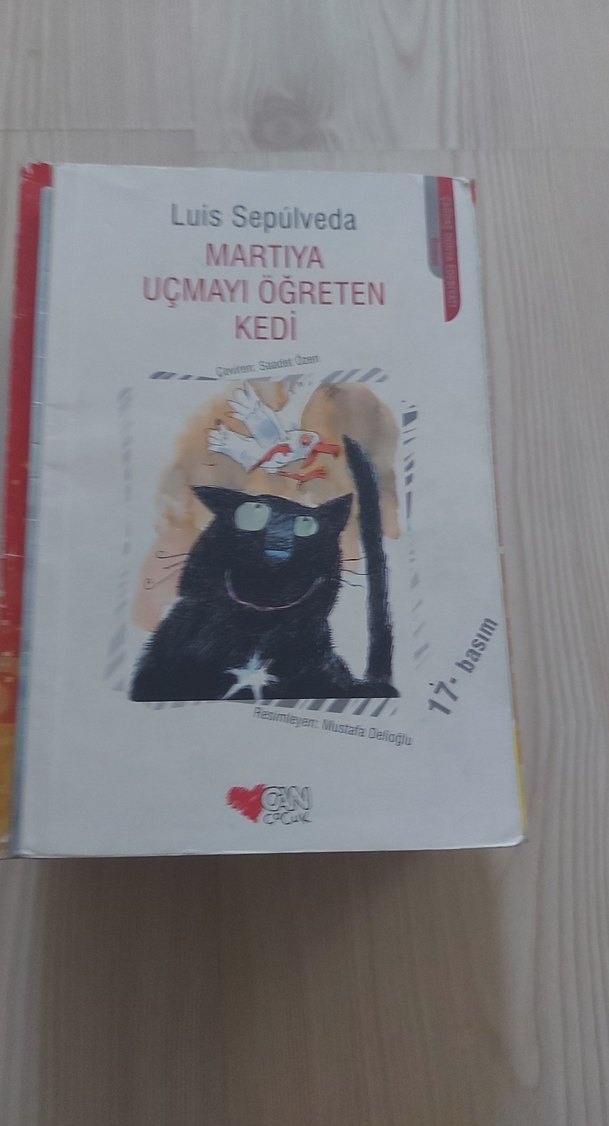 Martıya Uçmayı Öğreten Kedi - Luis Sepúlveda - Görsel 2