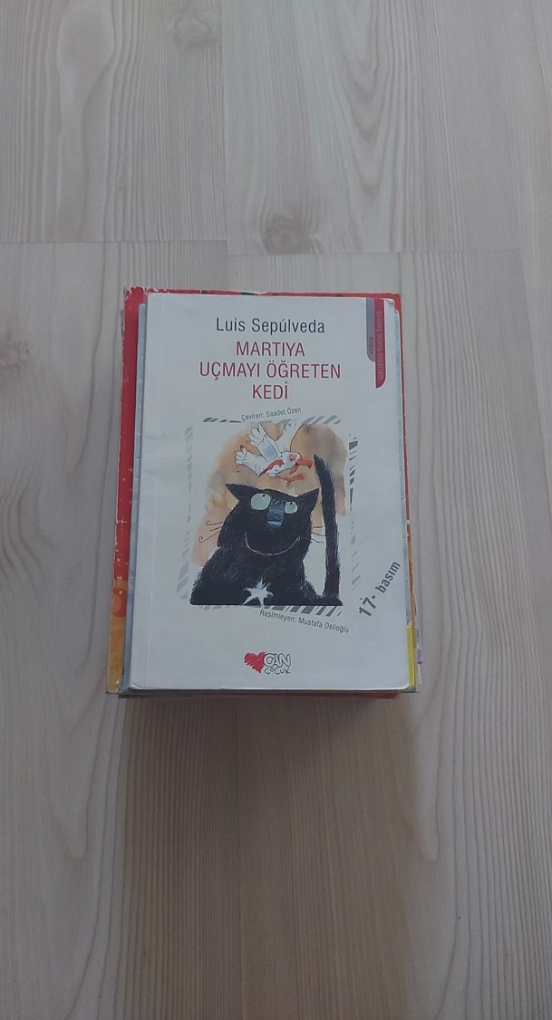 Martıya Uçmayı Öğreten Kedi - Luis Sepúlveda - Görsel 3