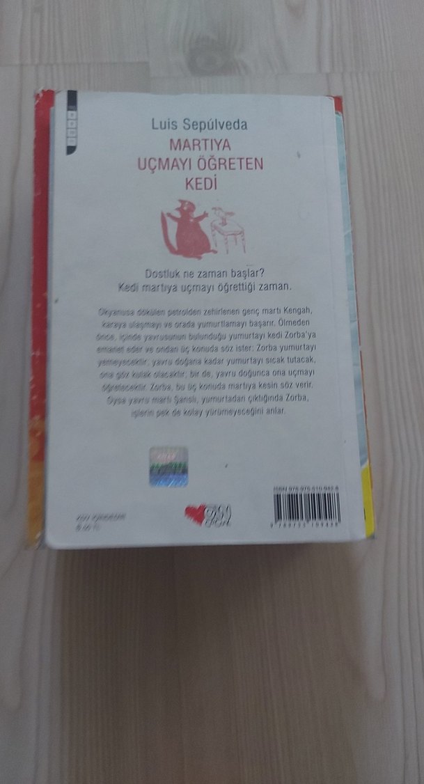 Martıya Uçmayı Öğreten Kedi - Luis Sepúlveda - Görsel 5