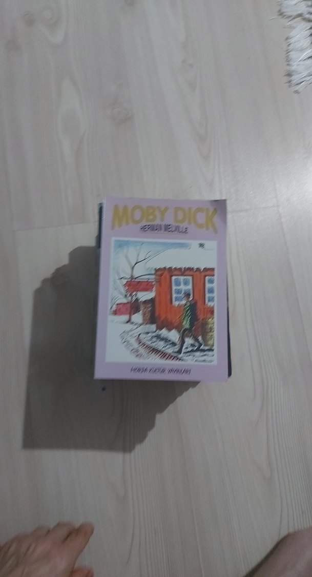 Moby Dick - Herman Melville - Görsel 2