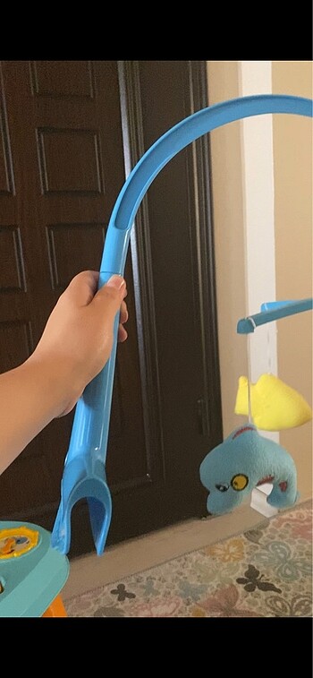 Beden çeşitli Renk Dönence