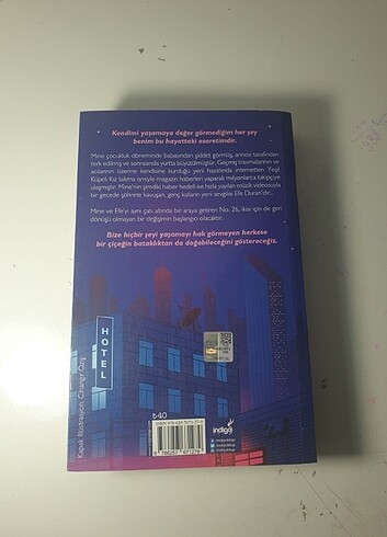 Roman kitap