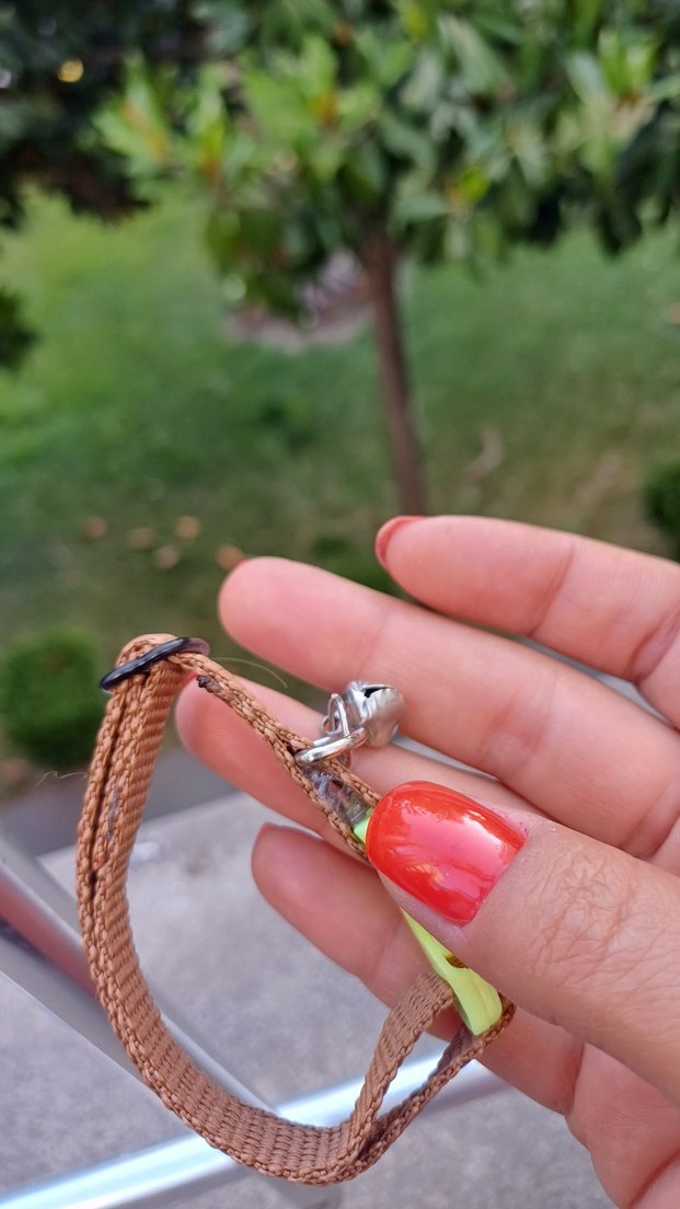 kedi tasması - Görsel 3