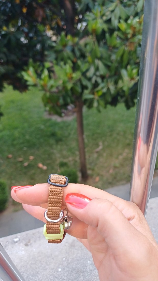 kedi tasması - Görsel 2