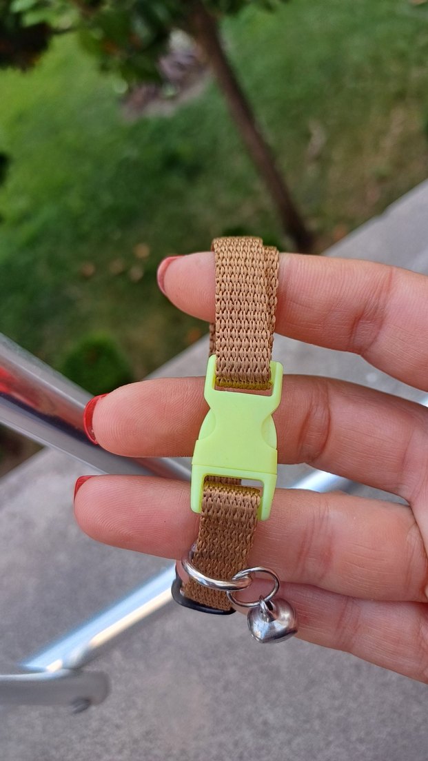 kedi tasması - Görsel 4