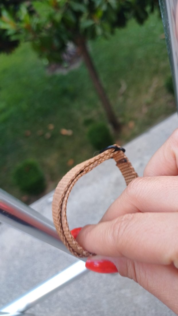 kedi tasması - Görsel 5