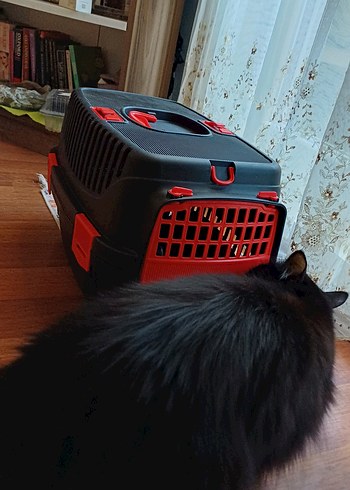 kedi taşıma kabı - Görsel 12