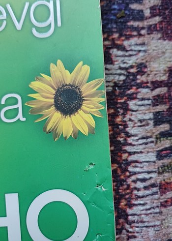 - Osho kitap - Görsel 2