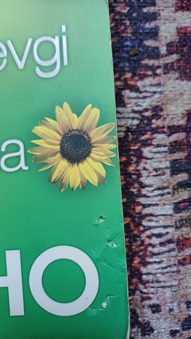 - Osho kitap - Görsel 2