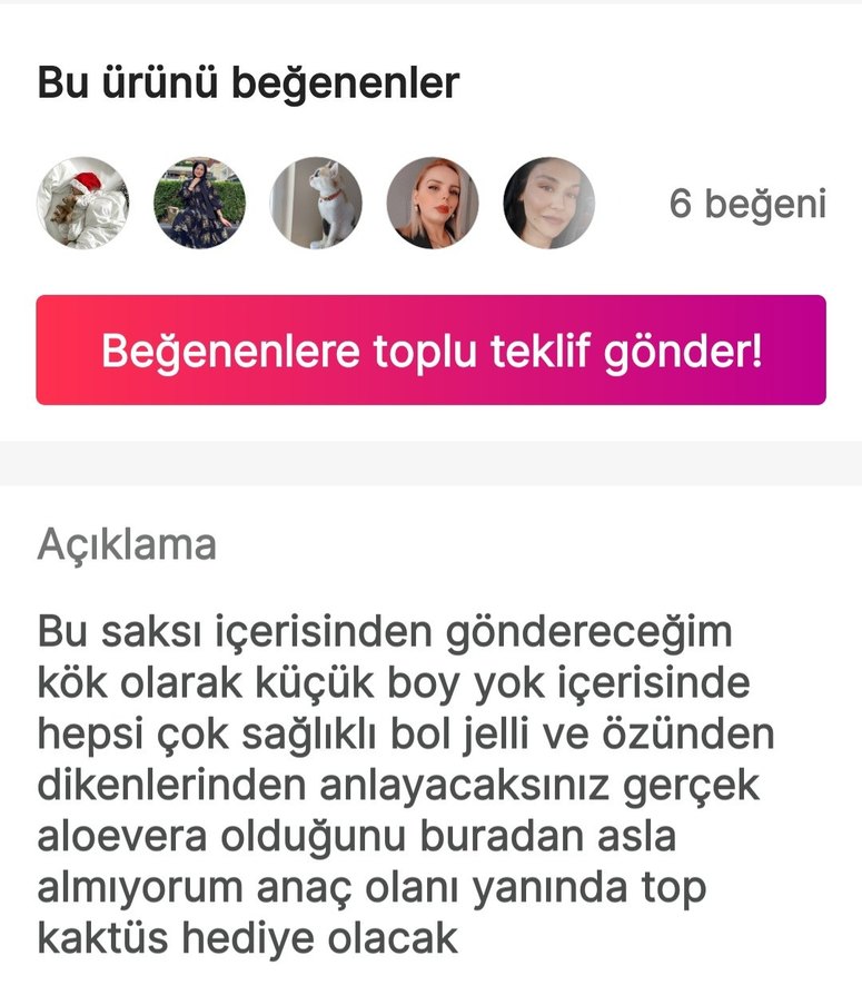 Aloe Vera - Görsel 4