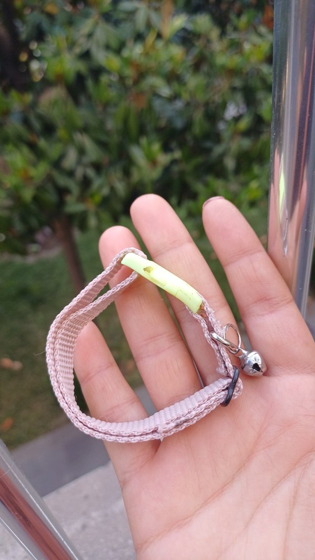 Kedi Tasması - Görsel 3