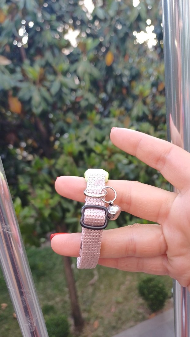 Kedi Tasması - Görsel 2