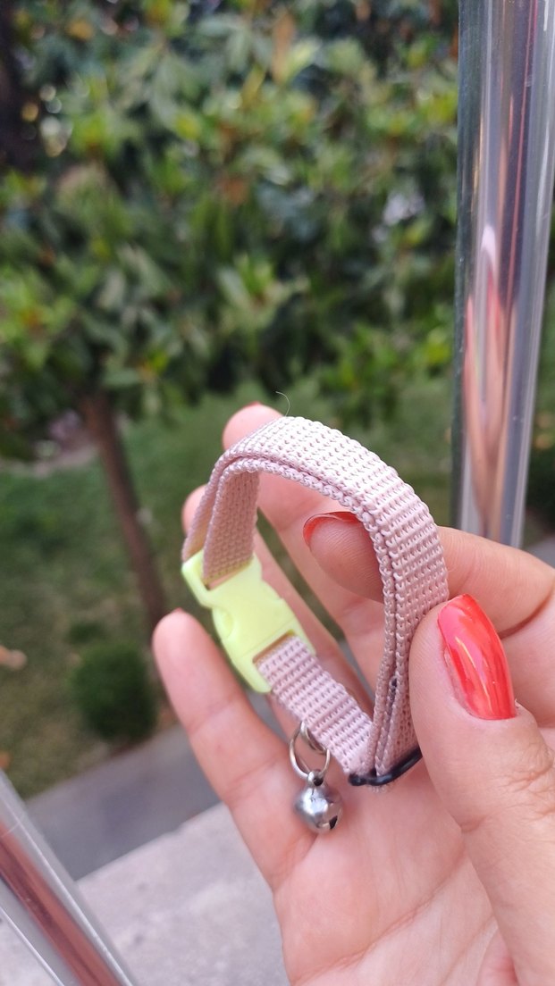 Kedi Tasması - Görsel 4