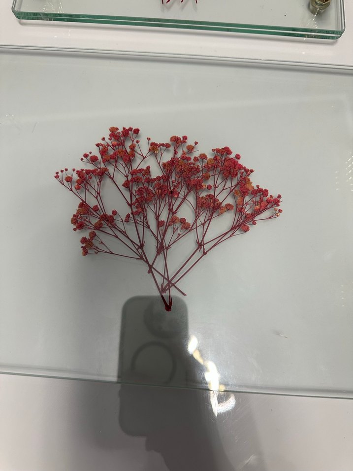 Altın Detaylı Çiçek Desenli Modern Cam tepsi - Görsel 4