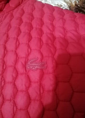 36 Beden kırmızı Renk Lacoste Kırmızı mont