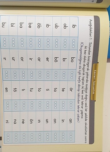 Beden Renk Okumayı güclendirme seti