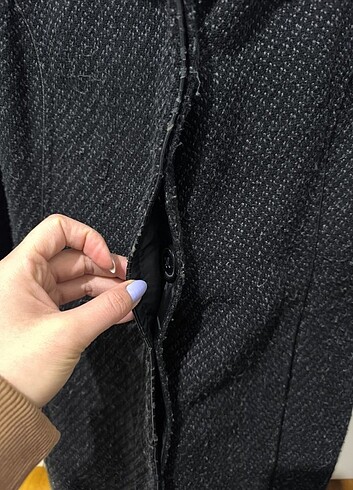 Siyah kaban - Görsel 5