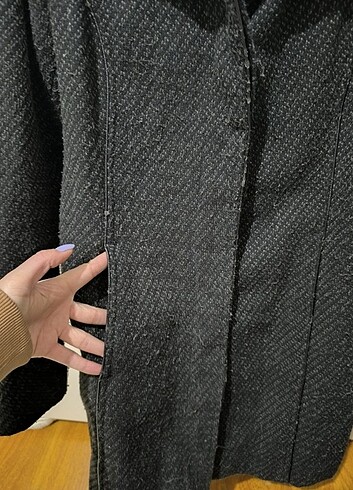 Siyah kaban - Görsel 6