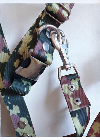 YENİ* RENKLİ KÖPEK TASMASI - Görsel 3