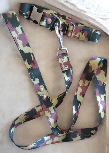 YENİ* RENKLİ KÖPEK TASMASI - Görsel 4