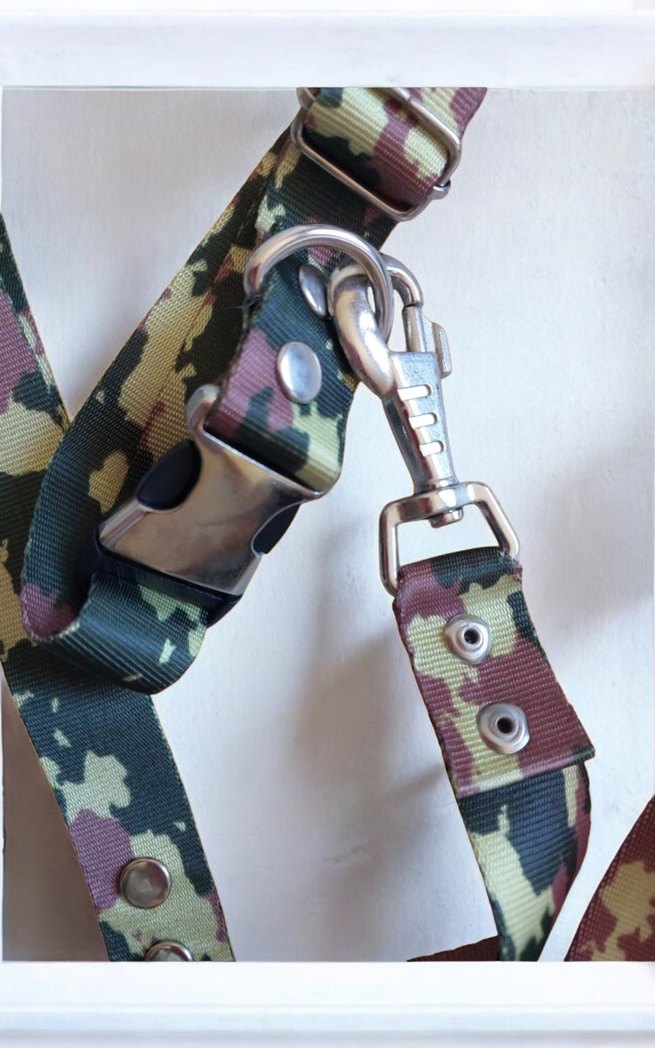 YENİ* RENKLİ KÖPEK TASMASI - Görsel 3