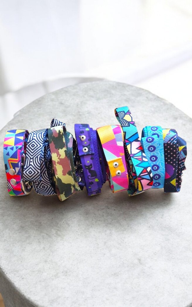 YENİ* RENKLİ KÖPEK TASMASI - Görsel 2