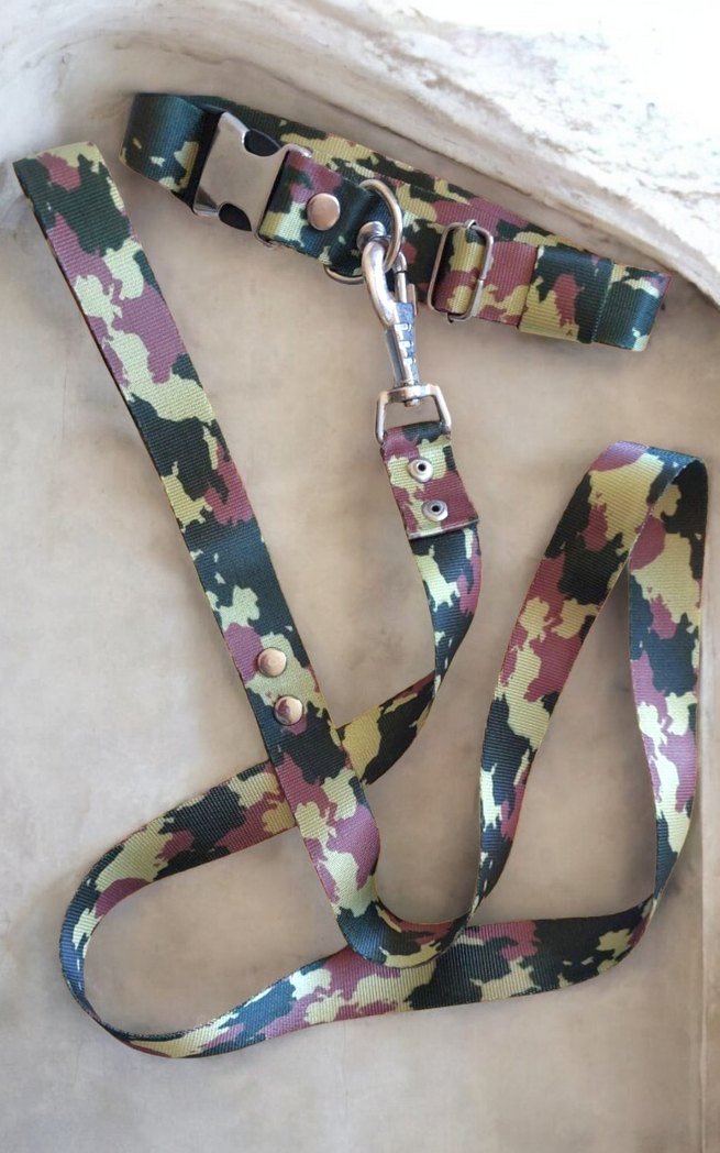 YENİ* RENKLİ KÖPEK TASMASI - Görsel 4