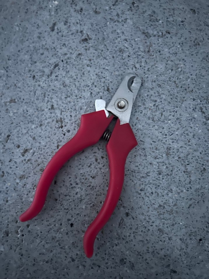 Kırmızı Renkli Kedi Tırnak Makası - Görsel 4