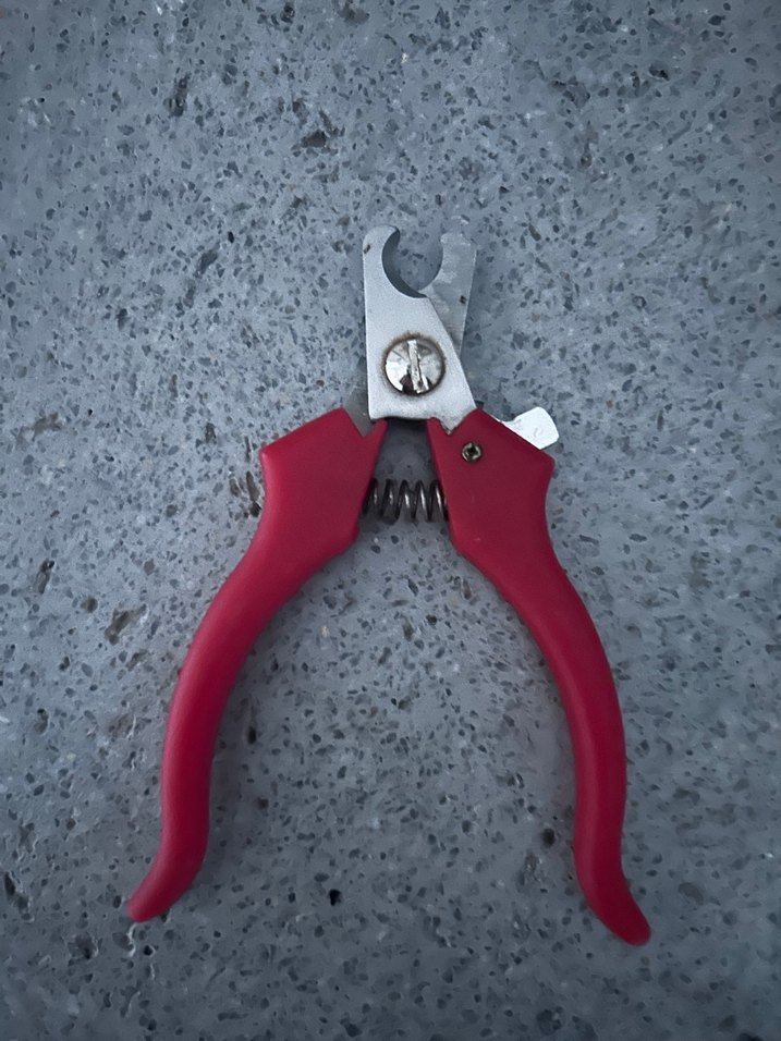 Kırmızı Renkli Kedi Tırnak Makası - Görsel 2