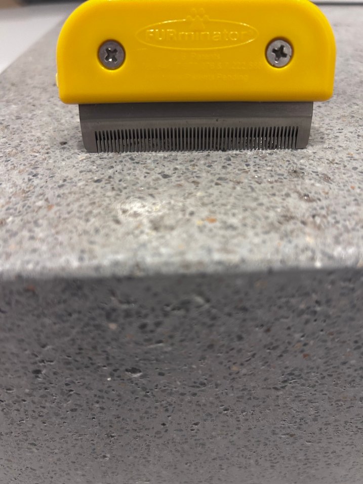 Furminator Orta Boy Tüy Alıcı Toplayıcı Tarak Kedi Köpek Bakım - Görsel 4