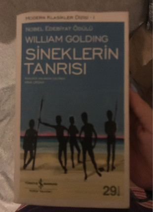 Diğer Sineklerin tanrisi